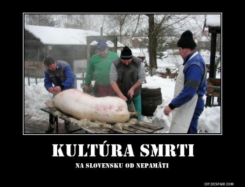 Vo veci Pastierskeho listu